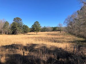 Milledgeville Mini Farm