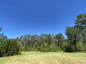 Falling Creek Farms #2
