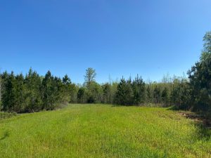 Falling Creek Farms #1B