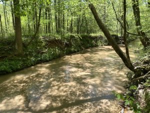 Falling Creek Timberland