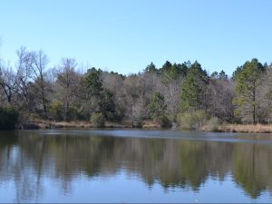 Farm & Hunting w/ Lake