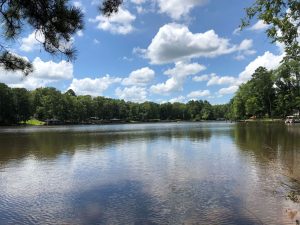 Lake Sinclair Farm