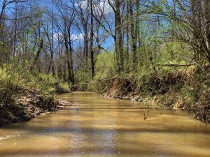 Little Dove Creek Tract