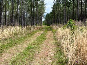 Turn-key Hunting & Recreation