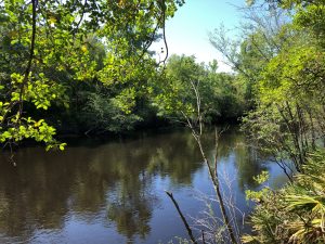 St. Marys River Living