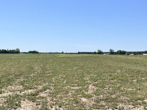 Beautiful Homesite/Pastureland