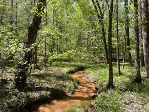 Falling Creek Farms #3