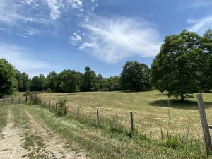 Established Country Homesite