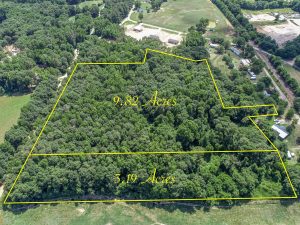 Timbered Homesite & Acreage