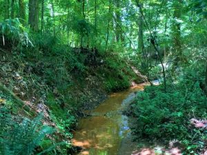 Creekside at Riverstone Lot