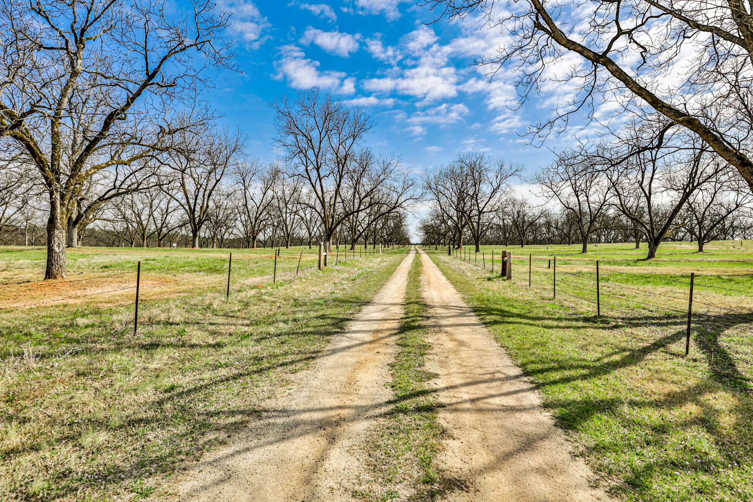Hickory Grove Orchards Gentleman Farm