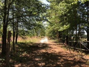 Affordable Hunting Tract