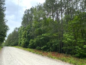 Shady Dale Homesite & Acreage
