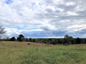 Opportunity Zone Property