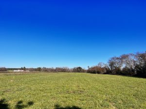 Middle GA Small Farm/Homesite