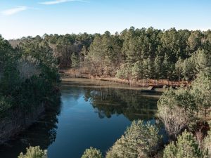 Rooty Creek Preserve