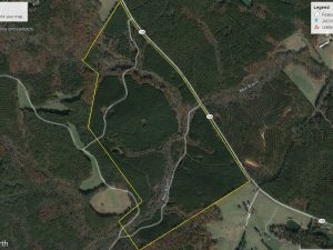 Newtown Road Timber Tract