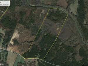 Goose Pond Tract
