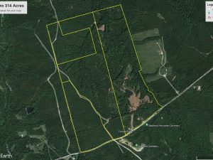 Coyote Run Plantation