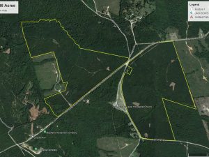 Ogeechee Timberland Tract