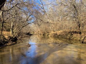 Buffalo Creek Hideout