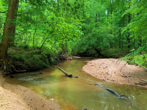 Buffalo Creek Hunting Retreat