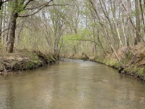 Little Buffalo Creek Tract