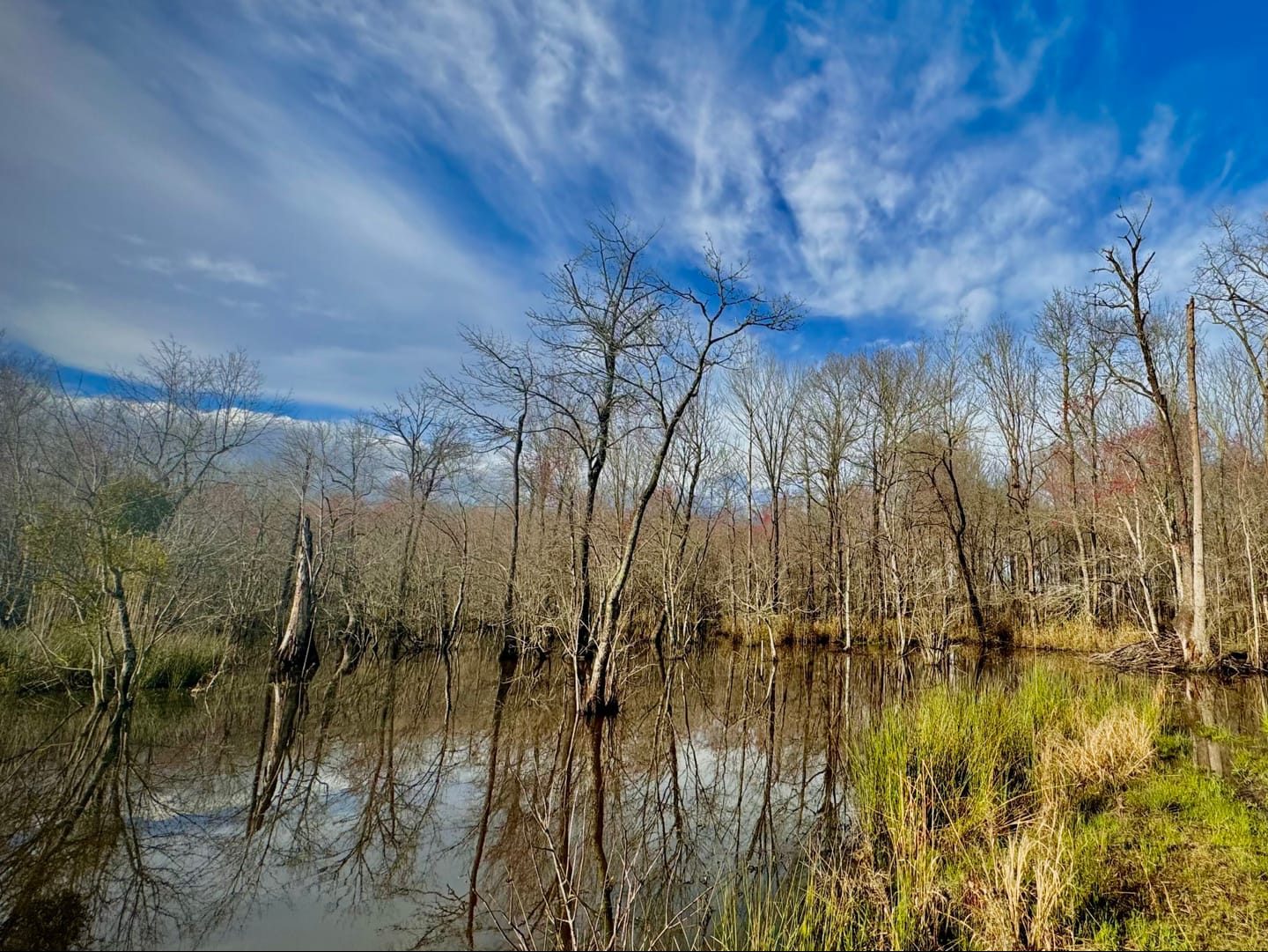 Ohoopee River Tract
