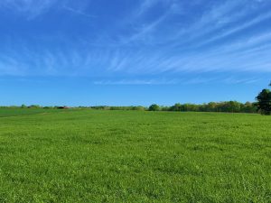 Agricultural Estate Lot 2