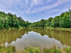 Bradbury Creek Preserve
