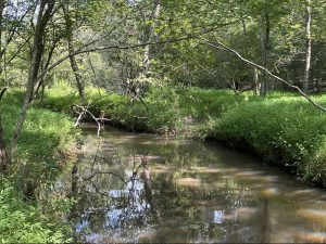 Town Creek Retreat