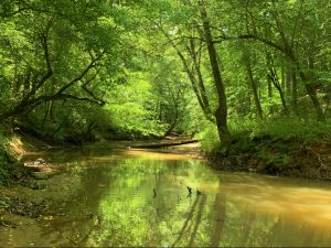Little River Retreat