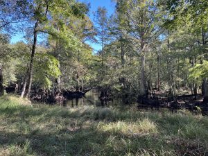 Takhomarak River Tract