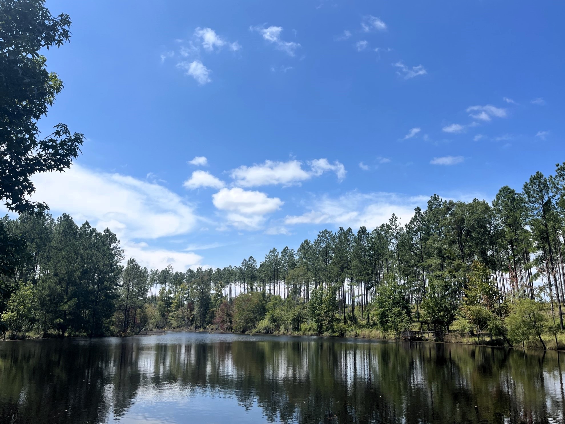 Highway 80 W Recreation Tract