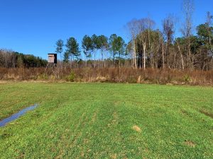 Overland Timber Tract