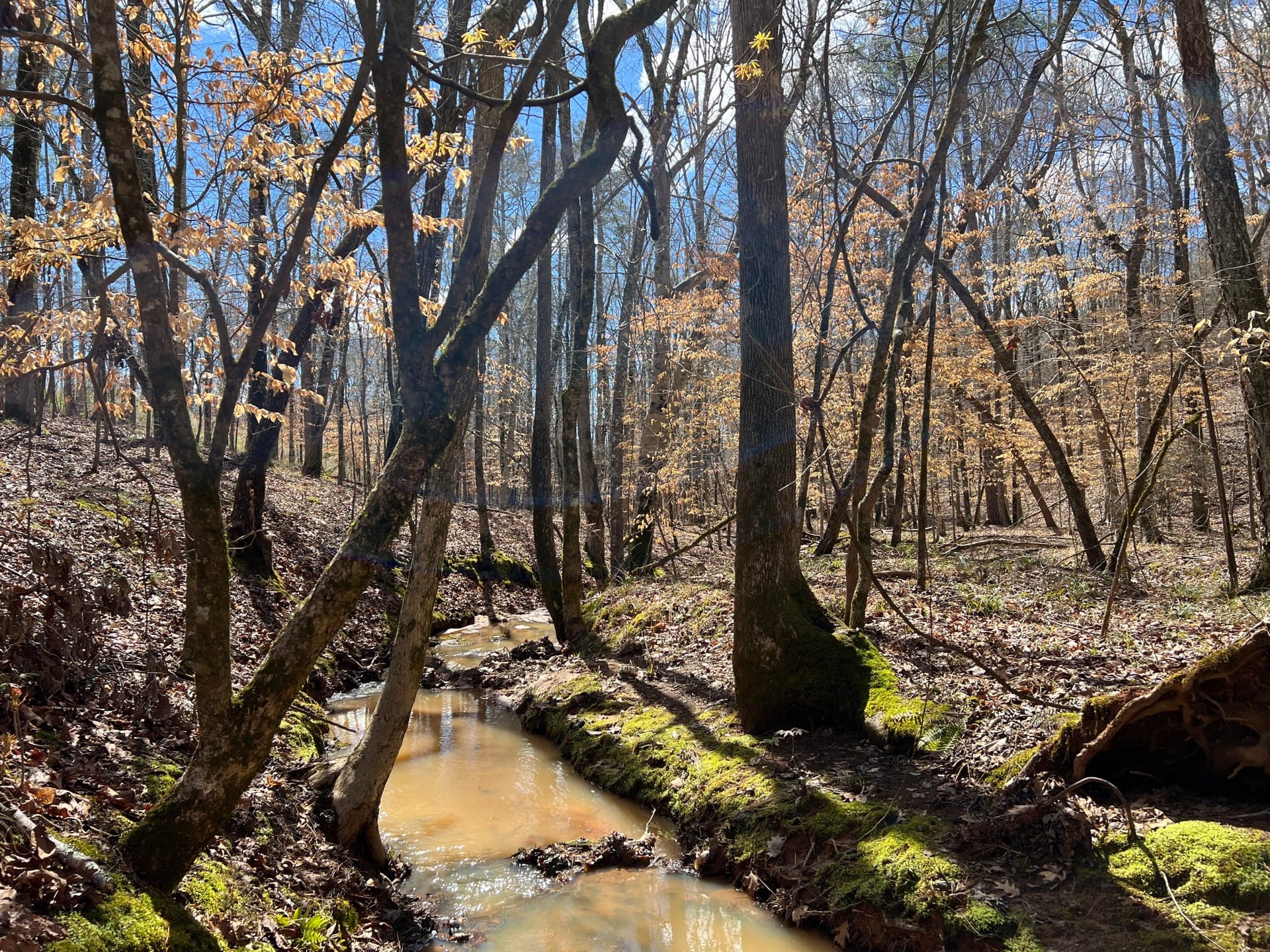Hulmes Chapel Recreation – Tract 2