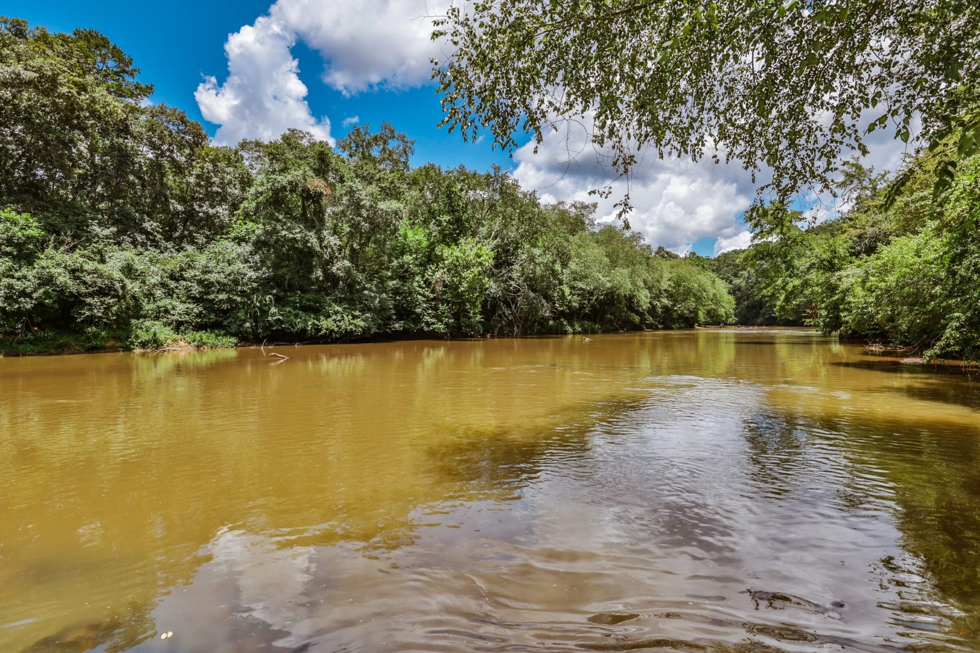 Broad River Gem!