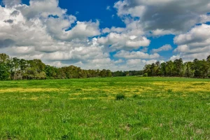 South River Farm & Recreation