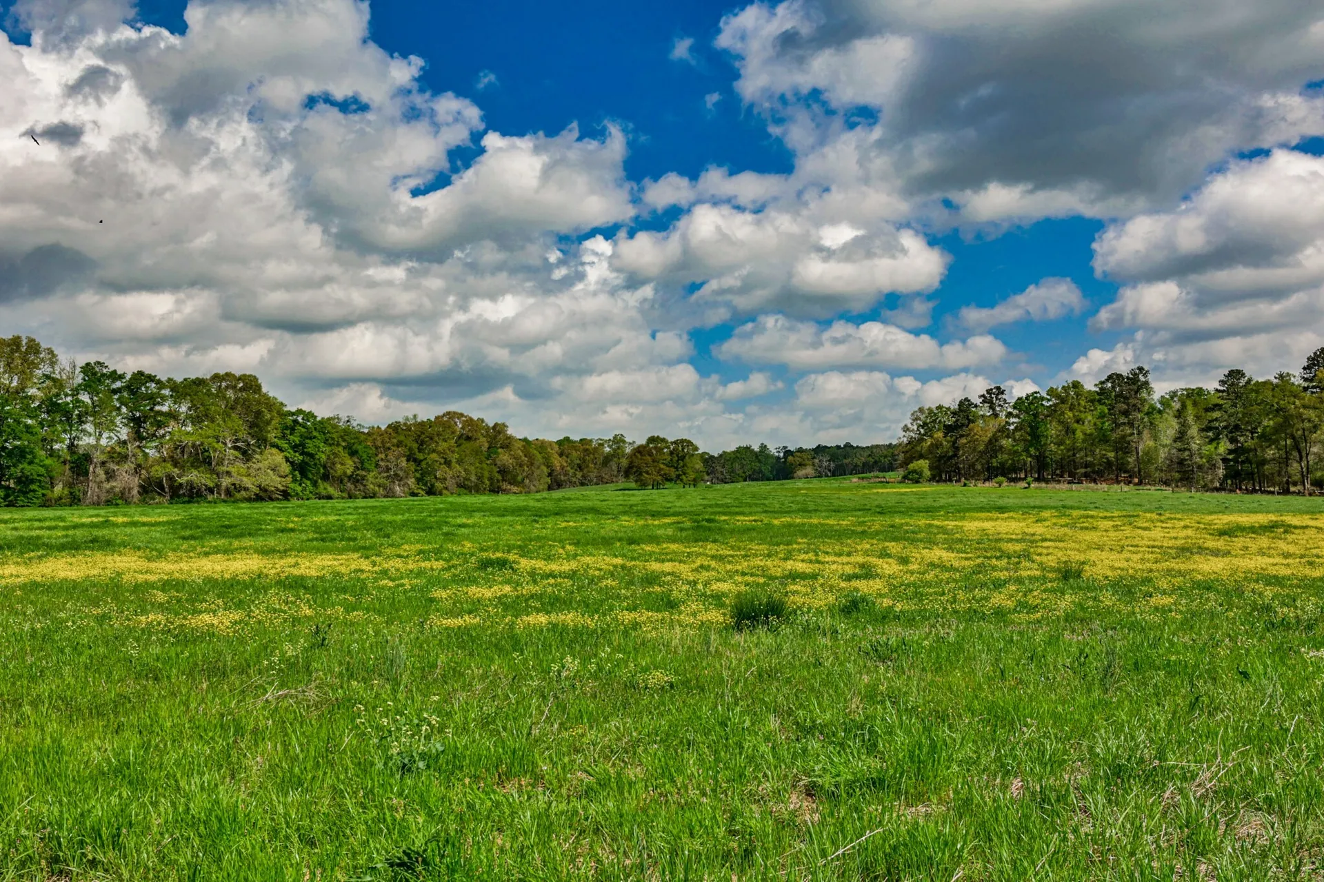 South River Farm & Recreation