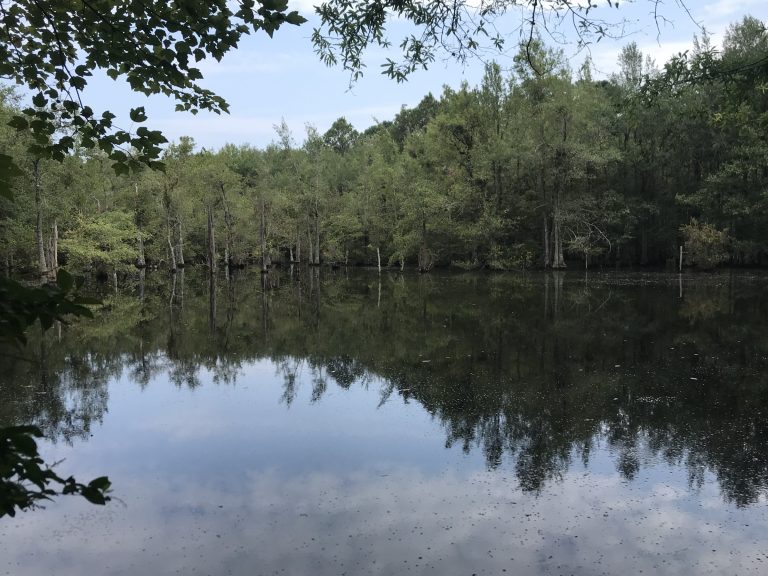 Outdoorsman's Paradise