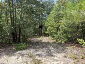 Rural Hunting & Homesite