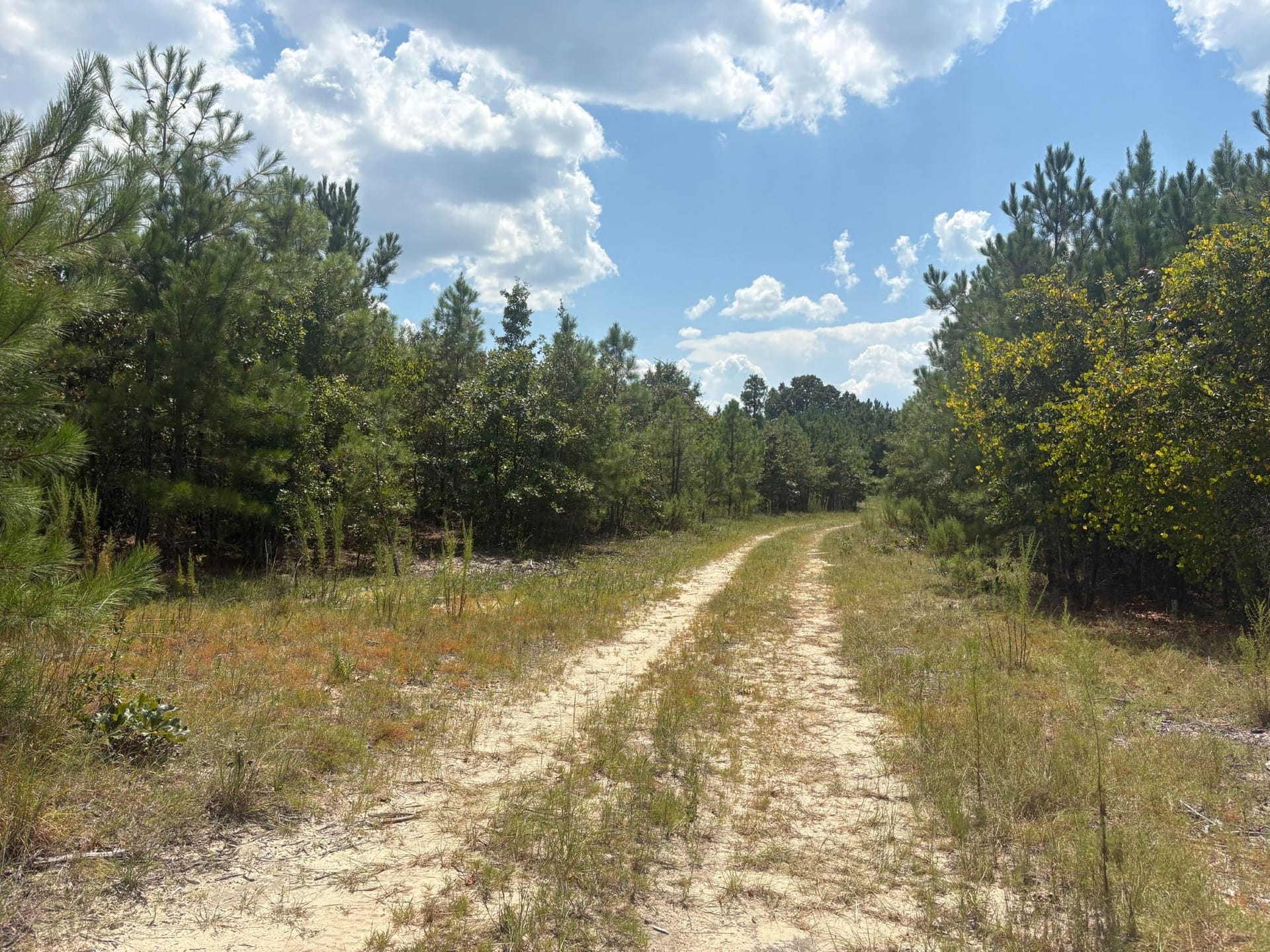 Country Homesite & Hunt