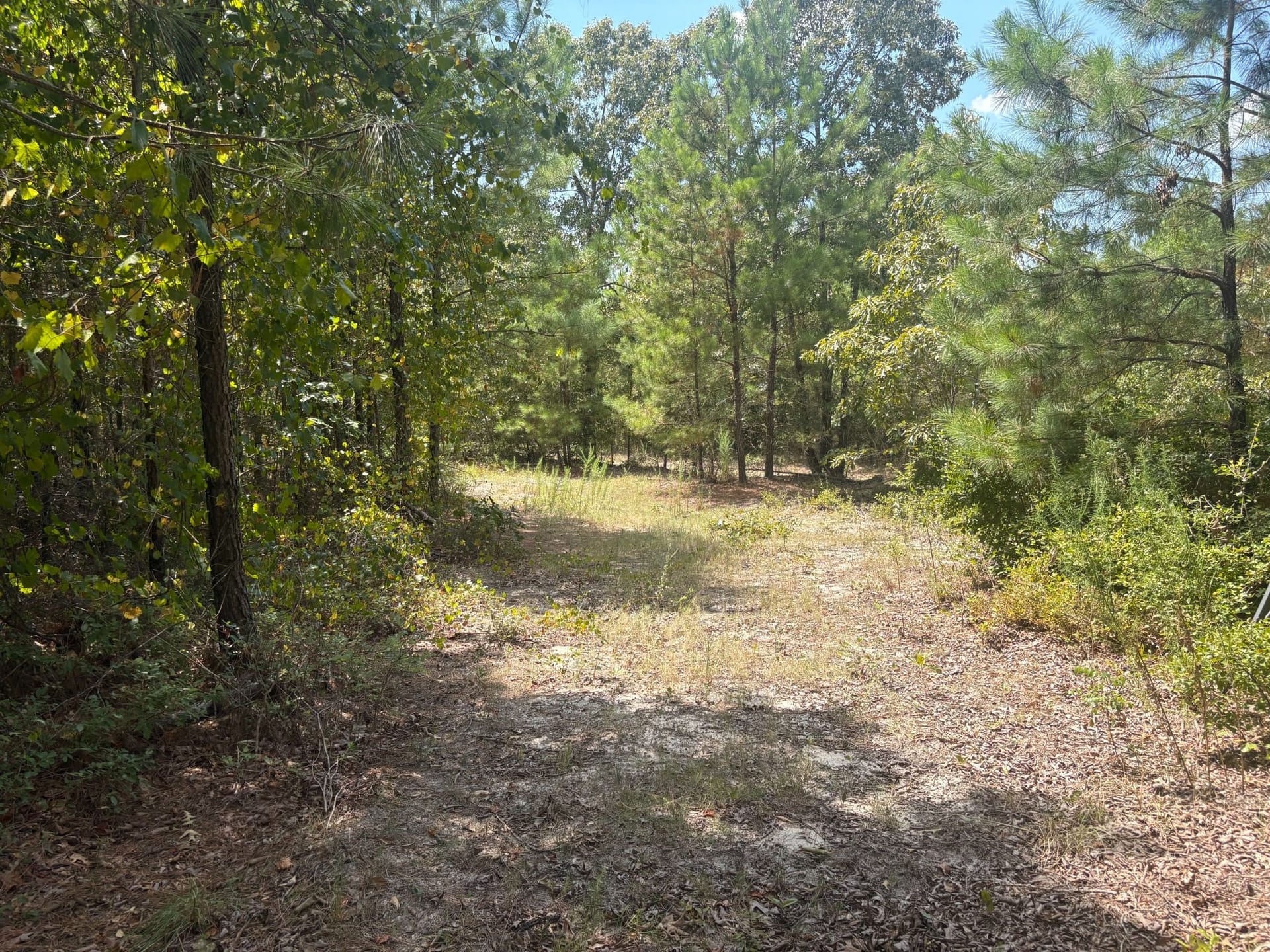 Friendship Farms Lot 12 – Country Homesite & Hunt