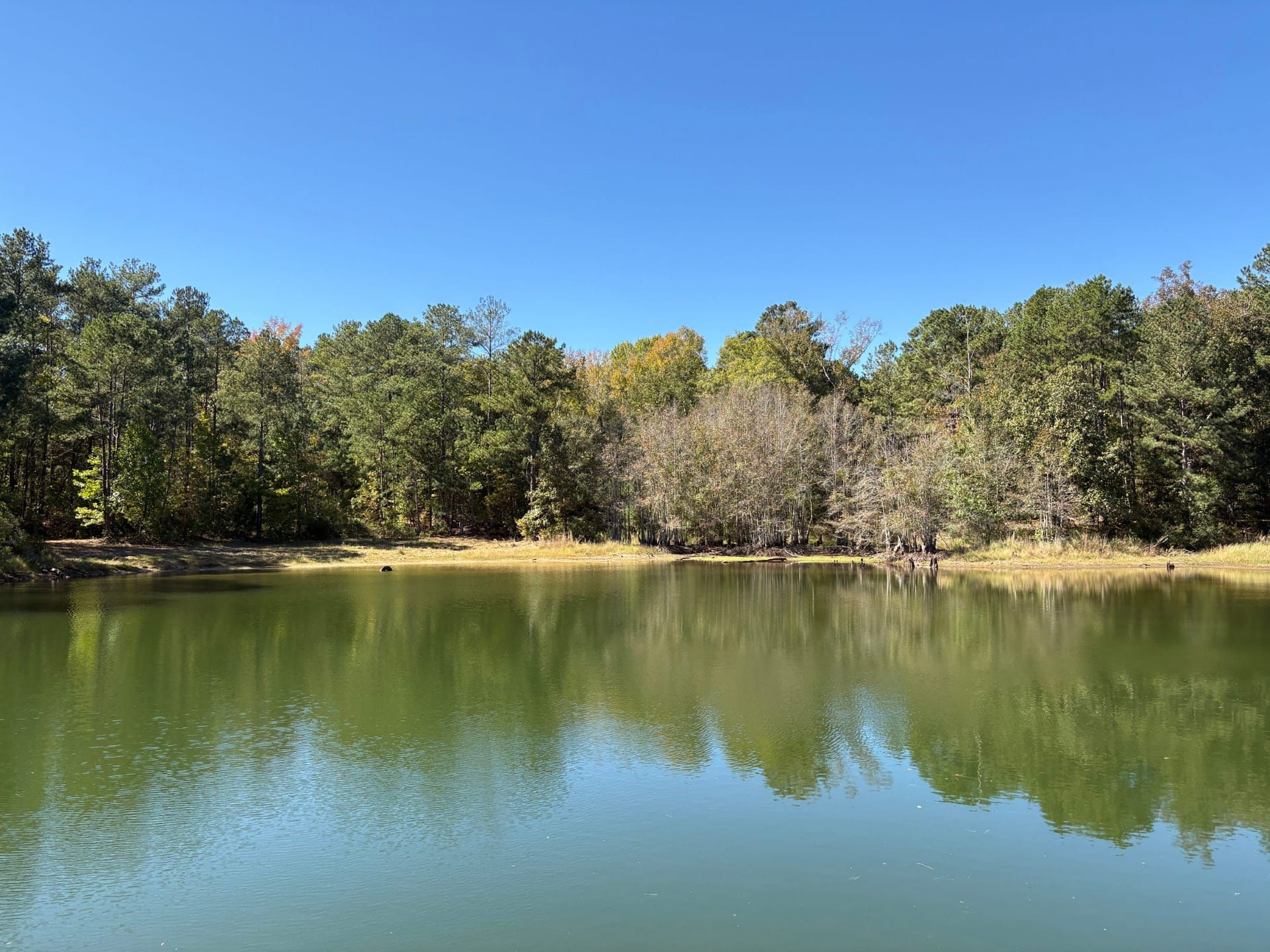 Pond, Field, & Hunting Retreat